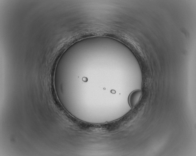 X0000112470689200908170951