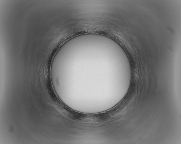 X0000112470691200908170951