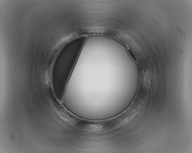 X0000112470692200908170951