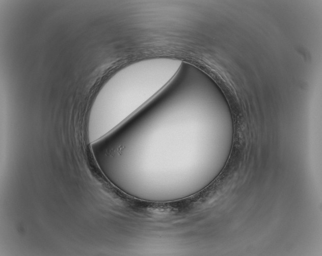 X0000112470693200908170951