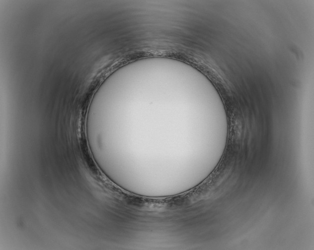 X0000112470694200908170951