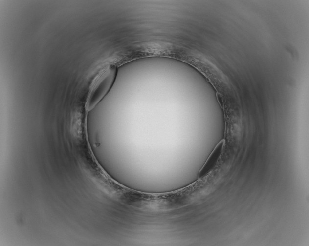 X0000112470696200908170951