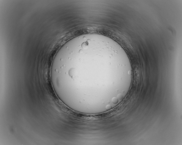X0000112470698200908170951