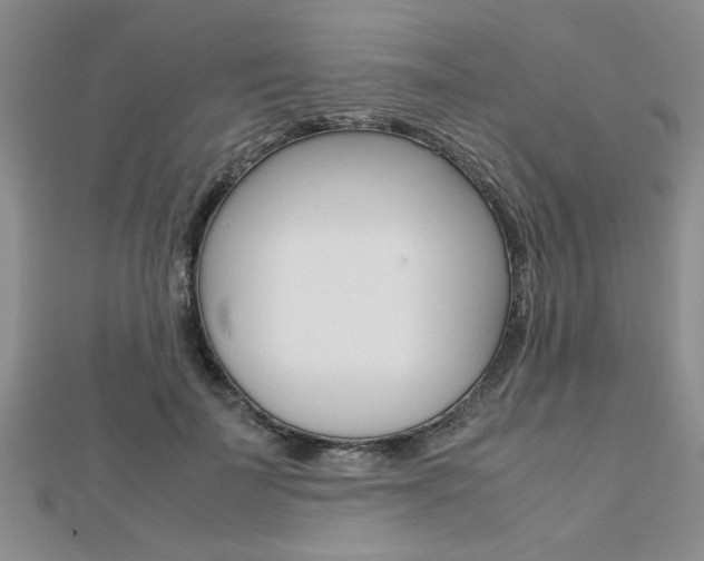 X0000112470699200908170950