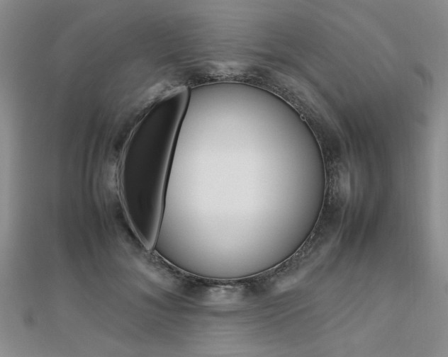 X0000112470700200908170950
