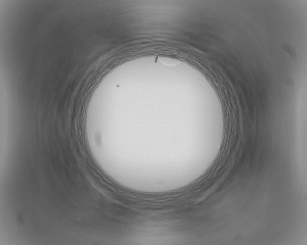 X0000112470701200908170950