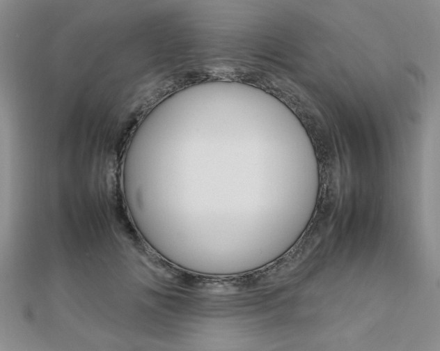 X0000112470702200908170950