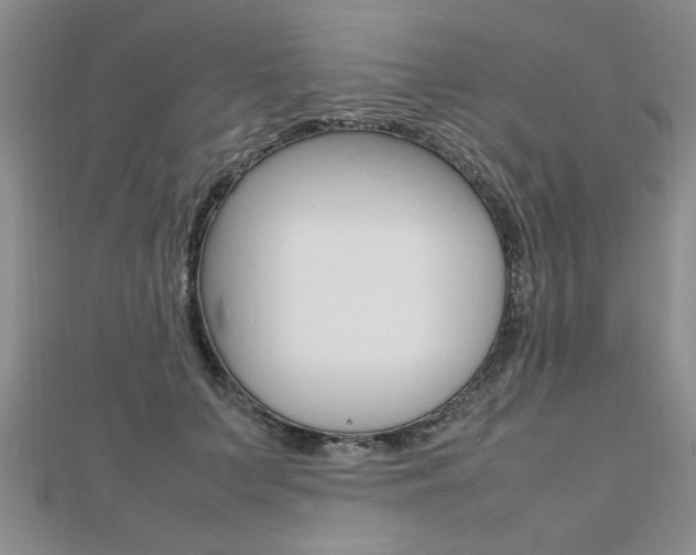 X0000112470703200908170950