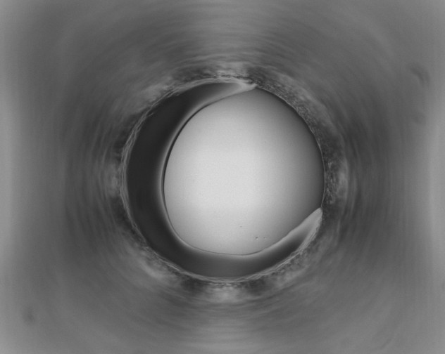 X0000112470704200908170950