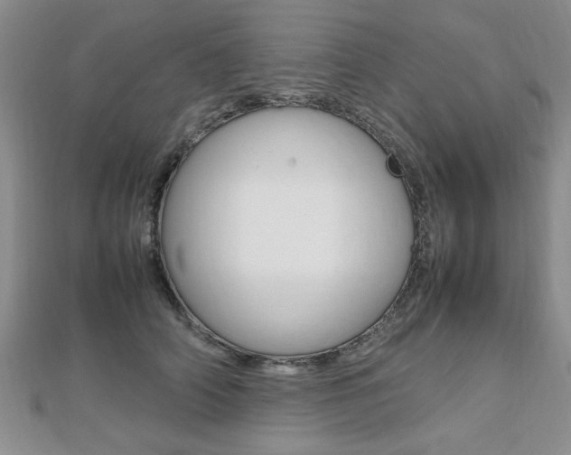 X0000112470706200908170950