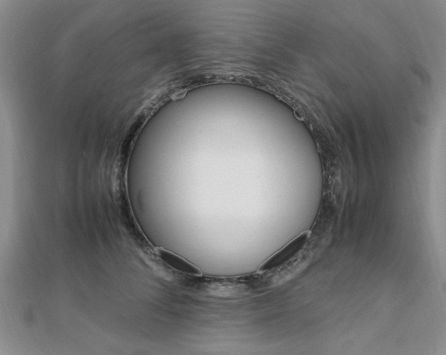 X0000112470708200908170950