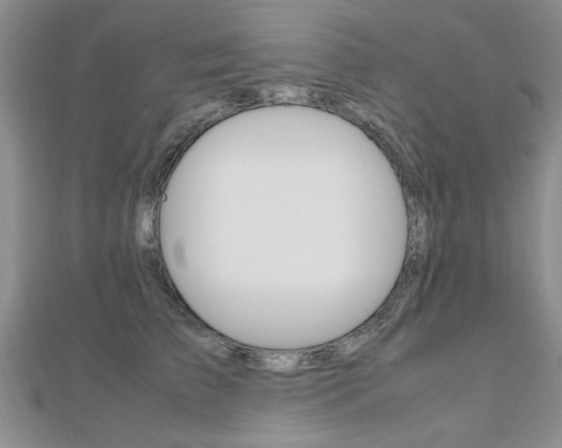 X0000112470709200908170950