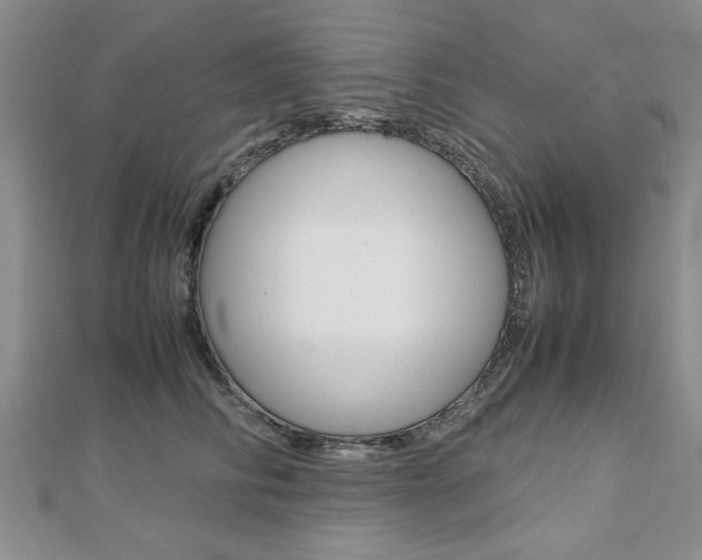 X0000112470710200908170950