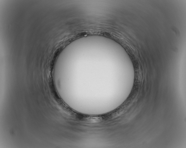 X0000112470711200908170950