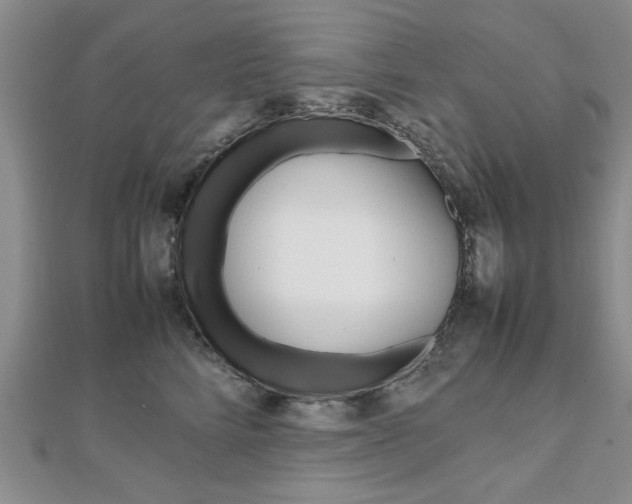 X0000112470712200908170950