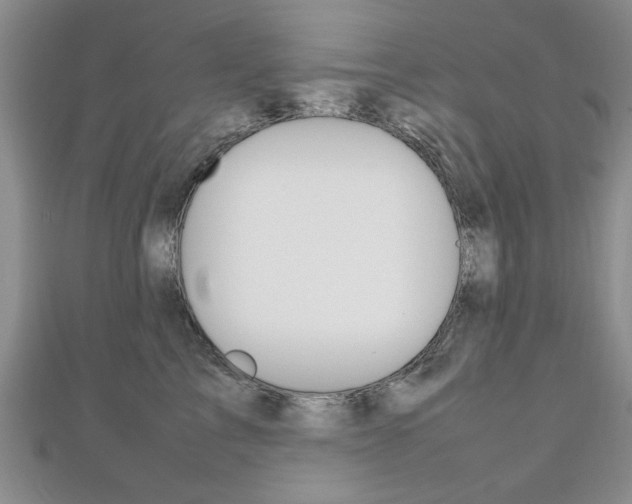 X0000112470713200908170950