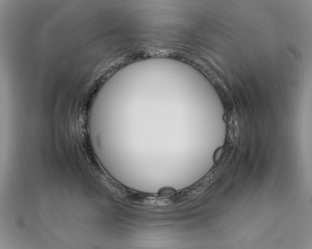 X0000112470714200908170950