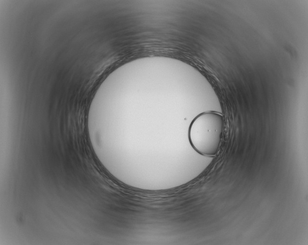X0000112470716200908170950