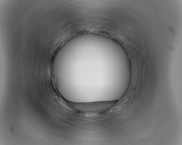 X0000112470720200908170950