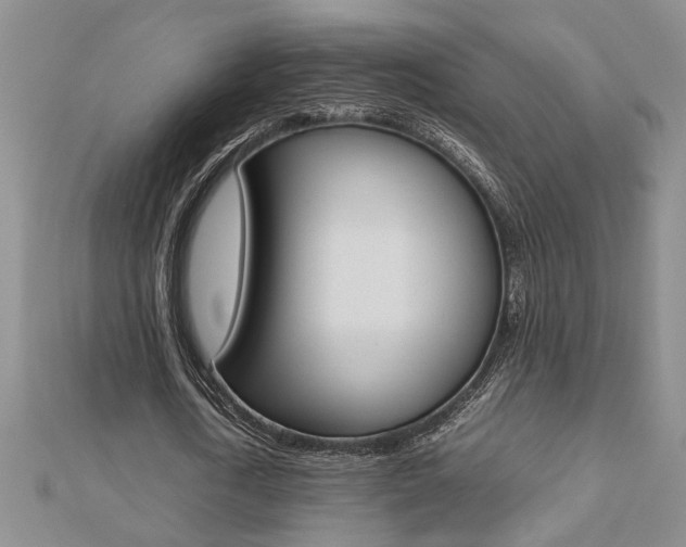 X0000112470722200908170950