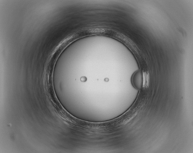 X0000112470723200908170950