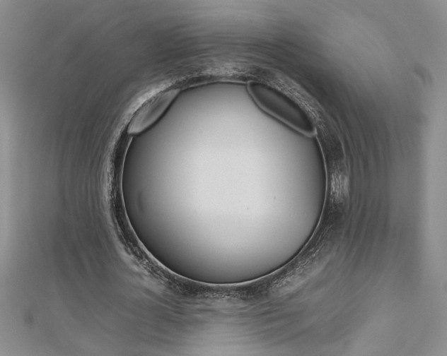 X0000112470724200908170950