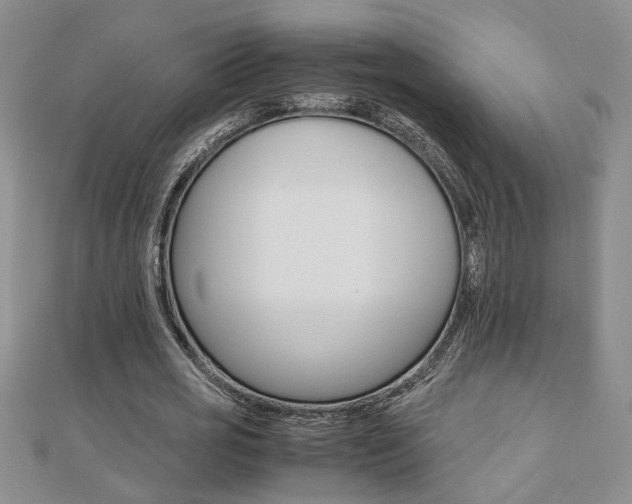 X0000112470725200908170950