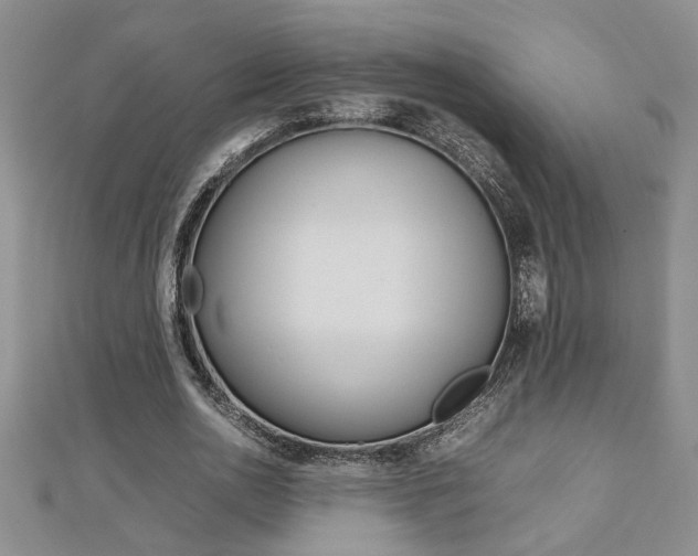 X0000112470726200908170950