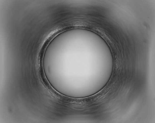 X0000112470727200908170950