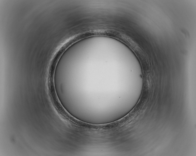 X0000112470728200908170950