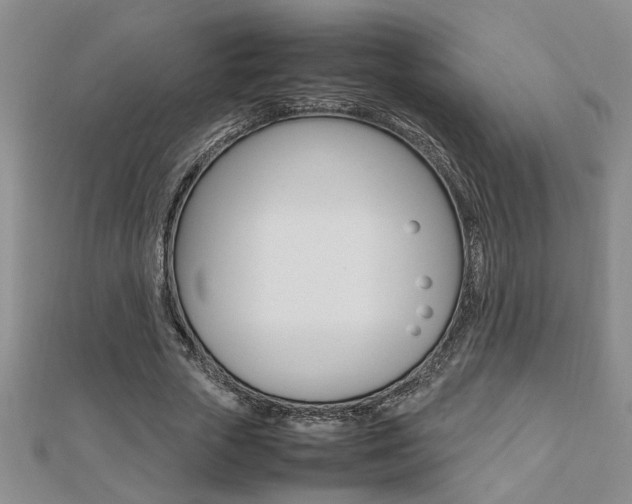 X0000112470729200908170950
