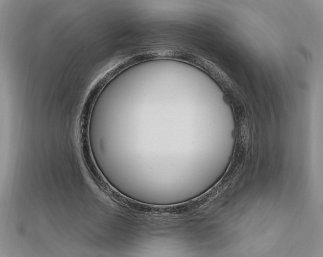 X0000112470730200908170950