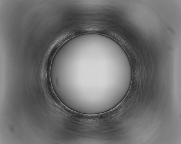 X0000112470731200908170950