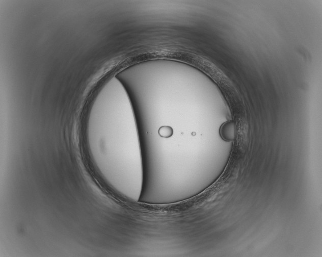 X0000112470734200908170950
