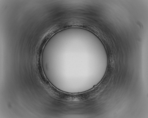 X0000112470735200908170950