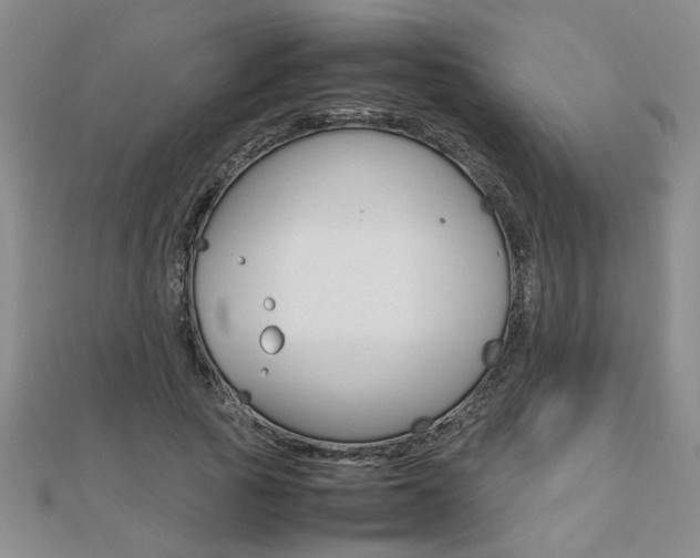 X0000112470737200908170950