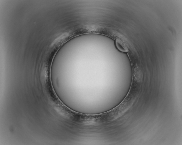X0000112470740200908170950
