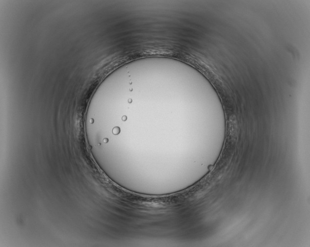 X0000112470741200908170950
