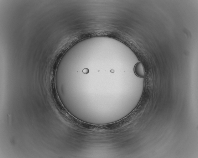 X0000112470742200908170950