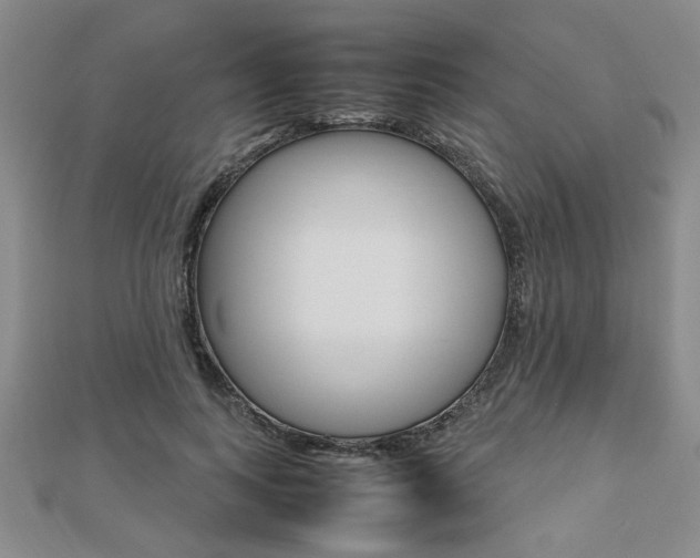 X0000112470743200908170950