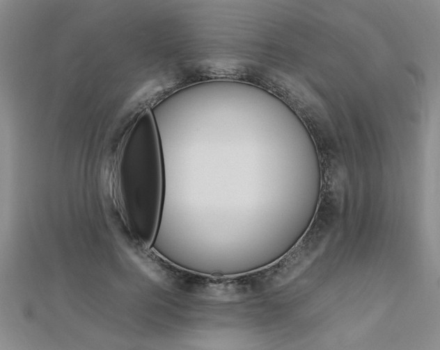X0000112470744200908170950