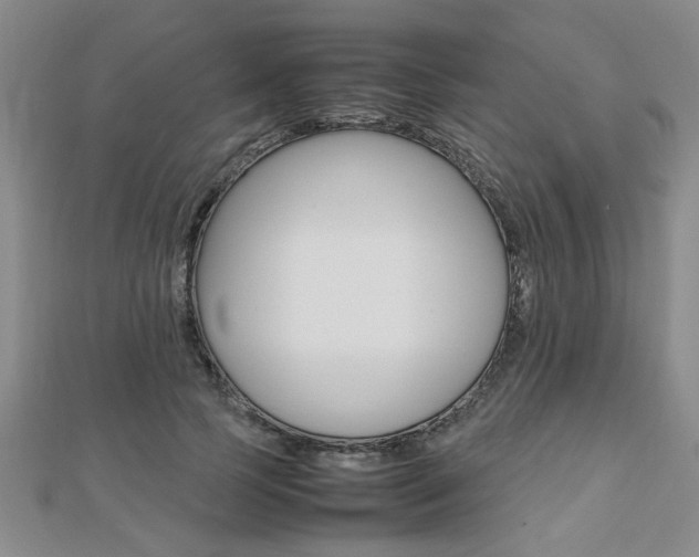 X0000112470745200908170950