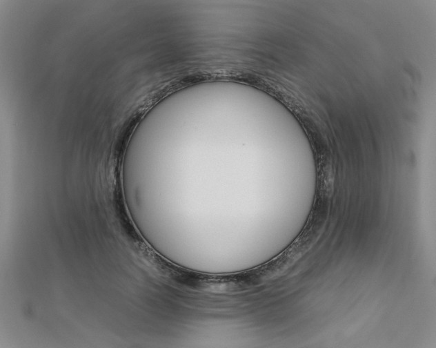 X0000112470746200908170950