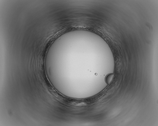 X0000112470747200908170950