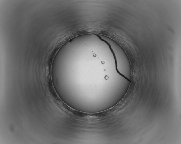 X0000112470748200908170950