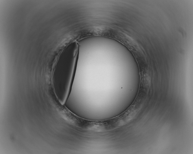 X0000112470750200908170950