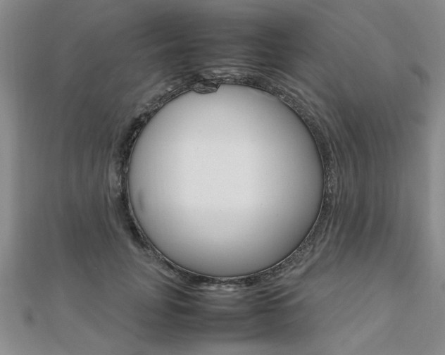 X0000112470751200908170950