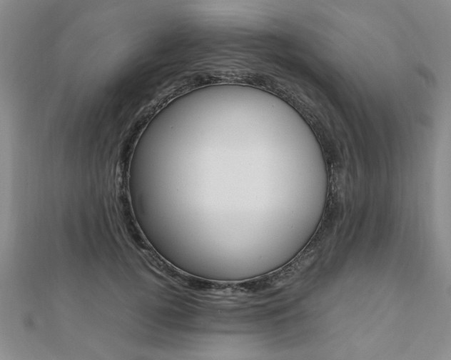 X0000112470752200908170950