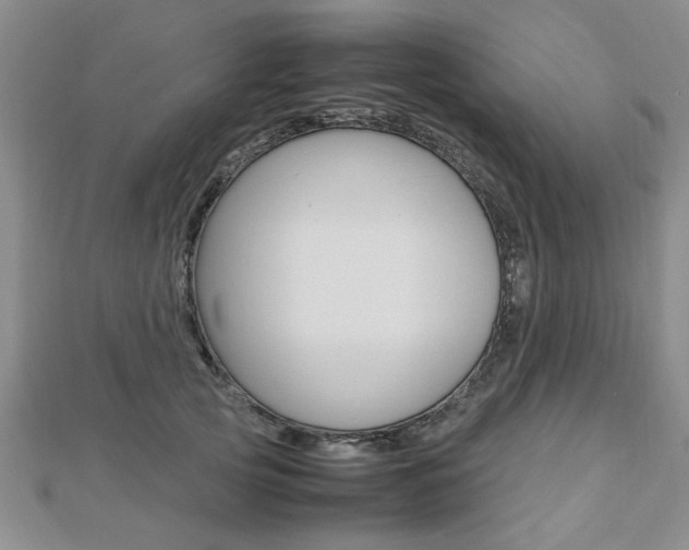 X0000112470753200908170950