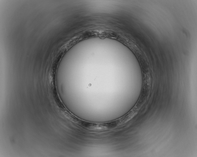 X0000112470754200908170950